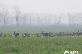 春风又绿荆江岸丨石首：换道超越、绿色崛起图片