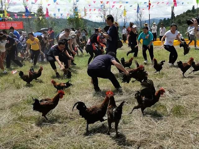 四川省民生研究会新媒体中心-官网