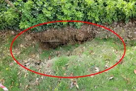 成都城投优山禧园小区：新房路面下沉塌陷 停车场漏水、渗水图片