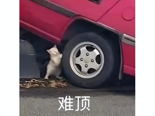 12年前全网围观他被绿，结果他却开口安利：大唐无双有八个职业！