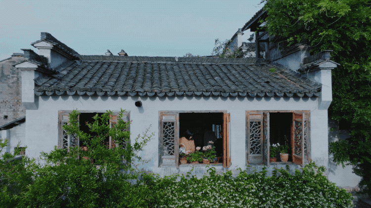 IT夫妇中年辞职，拿下1200㎡荒地归隐，如今第七年了
