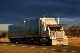 为何作为化肥的尿素，竟会让两个发达国家的卡车先后“停摆”？图片