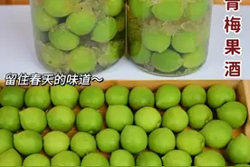 零失败的青梅酒泡法图片