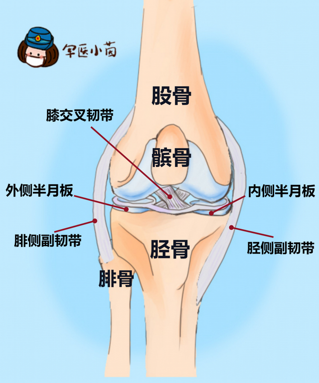 这几个地方得留心(什么是浮髌试验阳性) - 冷求网