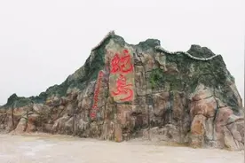 大连蛇岛疯狂“内卷”，一平方公里2万多条蛇，饿得一年休眠两次图片