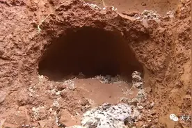 掘地3尺！鹰潭一公园挖出几个骇人"海绵球"…图片