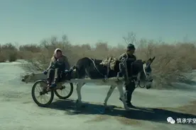 《隐入尘烟》，一部杜甫写实式的农村爱情生活电影，看哭全网图片