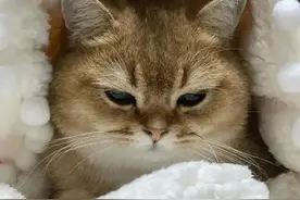 “起床气”到底是在生谁的气？图片