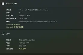 Win11 Build 22533.1001 预览版出现大量文字乱码 Bug图片