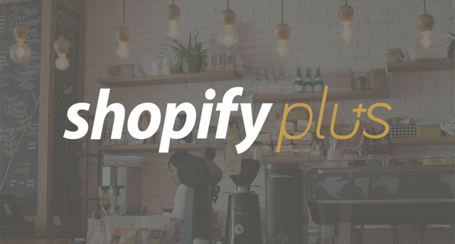6֧رʣShopifyӪʵֱ