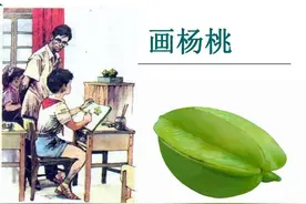 「预习材料」人教版二年级下册语文——《画杨桃》图片