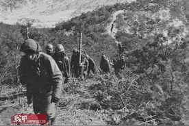 从二战结束到反恐战争前的美国陆军游骑兵（1945-2001）图片