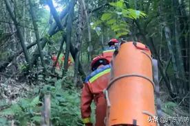 惊险！韶关一女子采蜂蜜被蜇伤，受困于深山…图片