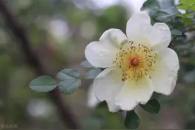 人过五十，做个“心狠”的人图片