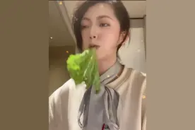 “豚鼠头子”猫一杯：靠啃菜叶子轻松圈粉1300万，到底有何魅力？图片