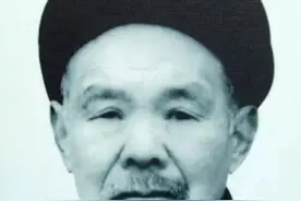 为振兴陈氏太极拳，陈照丕辞职回乡当农民教拳，他最终振兴了吗图片