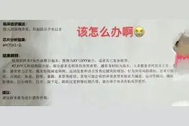 关于“超雄”或“超雌”，我们对染色体的了解还太少图片