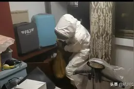 杭州一住宅内发现上千只蜜蜂，已经酿了三十多斤蜜图片