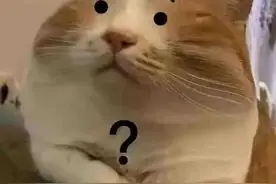 女性来例假不能吃什么食物？图片