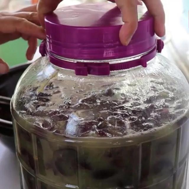 自家种植的葡萄,看一遍就学会了(如何用葡萄制作葡萄酒用酒吗) - 冷求