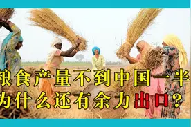 耕地面积更大，一年三熟，为什么印度的粮食产量不到中国的一半？图片