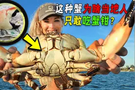 掰掉蟹钳，锯掉犀牛角，疼的是动物！为啥美国人还说为它们好？图片