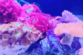 郑州海洋馆怎么玩，周末一日游攻略安排上图片