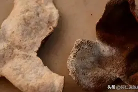 「强烈收藏」陈皮百科—判断新会陈皮发霉，“霉味”是否真的霉变图片