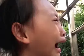 福建女孩捡到小鸟喂2个月，放飞后秒反悔大哭，下一秒竟神奇飞回图片