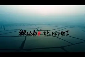 滨州脊岭岛的盐田虾图片