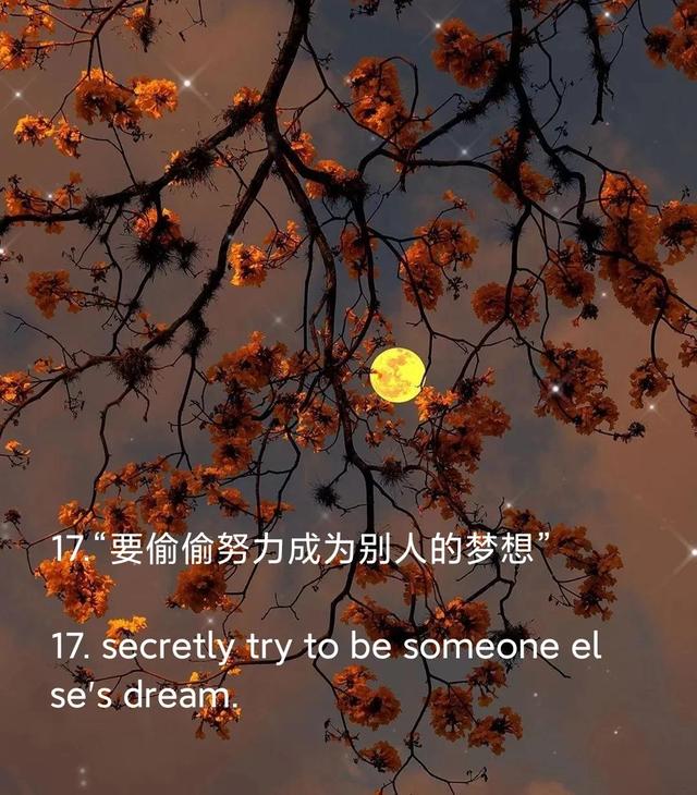 朋友圈文案|温柔美好的小句子|中英