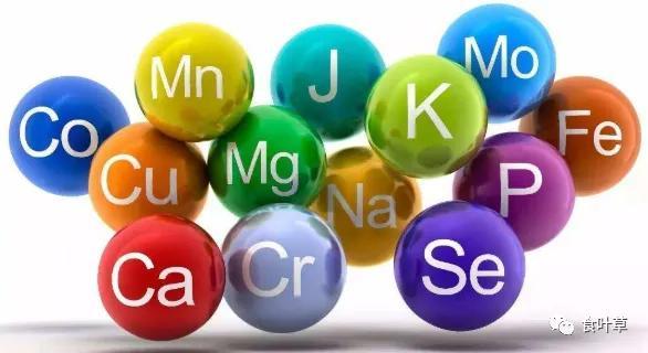 食叶草氨基酸多肽精蛋白与大健康产业