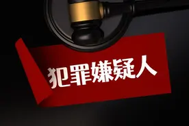 公安机关办理刑事案件程序规定（2020修正）图片