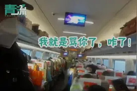 男子高铁骚扰女乘客、辱骂推搡民警，被行拘15日图片