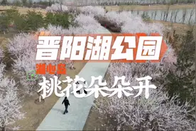 （视频）太原晋阳湖公园 桃花朵朵开图片