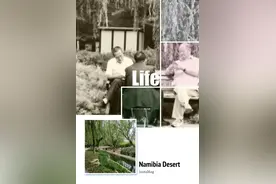 老人随子女落户北京，到底有啥好处？图片