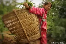 8岁女孩身患白血病，为不拖累养父自己偷偷签下放弃治疗，心酸图片