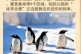 【锦绣太原城 欢乐中国年】之太原方特、稻田公园图片