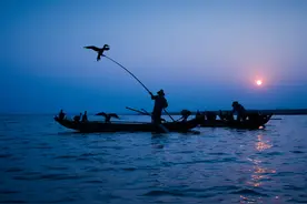 八首诗词中的“露宿野营”，不同的人，不同的原因，不同的感受图片