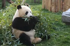 关于甘肃30个冷知识，带你了解真实的甘肃图片