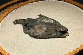 咸鱼、猪蹄、白切鸡，这些逆天文物都是真的？图片