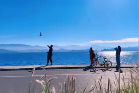 名字中带“飞”字有什么寓意，好不好？图片