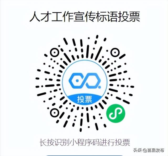 开始投票!