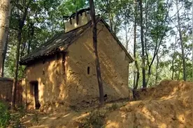 挑战∣我第一次抽烟，从一望无际的烟田里开始图片