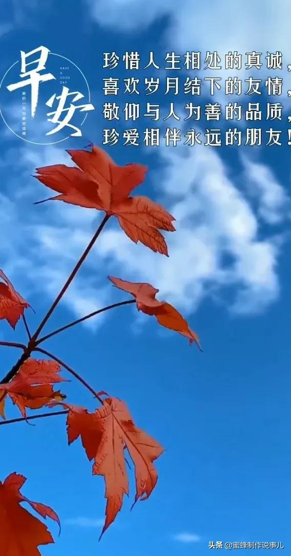 一束鲜花，醉蓝天