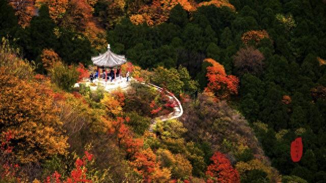 香山红叶什么时间最红(北京香山红叶几月份去最好)