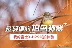 超轻便的拍鸟神器 我的富士X-H2S试拍体验图片