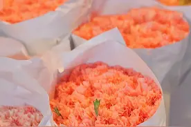 双鱼座很柔情，却也很长情，你不知道他们的心里，装得下多少？图片