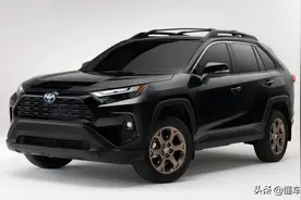 新车 | 标配AT胎、TRD悬架调校，丰田RAV4林地版发布，酷似小陆巡图片