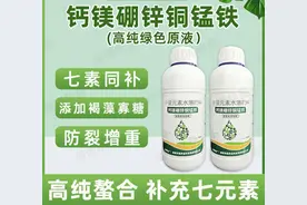 做好这四点，柑橘又是丰收年图片